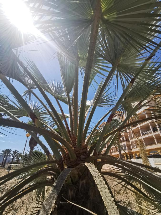 Spain Apartments Mar De Cristal Dış mekan fotoğraf